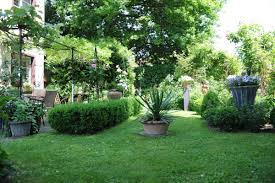 Bakker.com ist der größte, wenn es um den garten geht. Buchs Mit Braunen Blattern Gartencenter Zulauf Pflanzen Kaufen