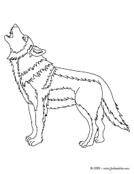 Coloriage D Un Beau Loup Realiste Hurlant Un Joli Coloriage Pour Les Amoureux D Animaux Sauvages Coloriage Loup Coloriage Animaux Coloriage