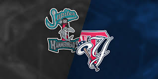 5 24 17 Jupiter Hammerheads Vs Tampa Yankees Roger Dean