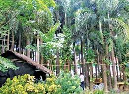 Maybe you would like to learn more about one of these? More Farm Tourism Destinations In Bulacan Agriculture Monthly