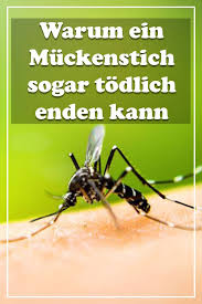 Schnakenstich Warum Der Sogar Todlich Enden Kann Schnaken Stich Muckenstich