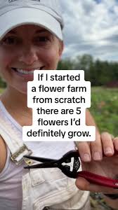 The overwhelm is real. Where to start? When to plant? What to grow? I’ve  been there. My best advice to new flower farmers is to start small. Pick a  handful of flowers to grow and really focus