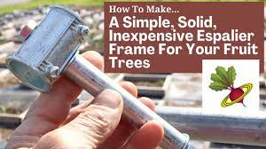 We did not find results for: How To Make A Simple Solid Inexpensive Espalier Frame For Your Fruit Trees Youtube