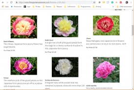  reply to this comment . Where To Buy Peony Plants Or Bulbs Online Top 50 Stores Garden Tabs
