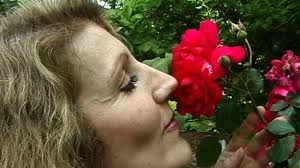 The Healing Power of Flowers