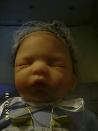 ashton drake luke and lindsey twins for collect or reborn with certificates 