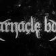 Always Elsewhere & Barnacle Boi