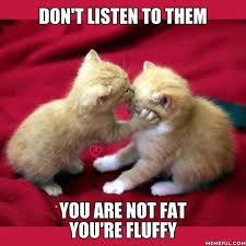 Funny Animal Pictures Of The Day 24 Pics Cute Animal Quotes Cute Animals Cute Animal Pictures