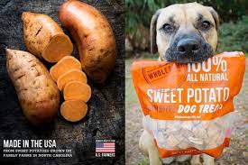 Sweet Potatoes For Dogs Sweet Perks In These Sweet Treats