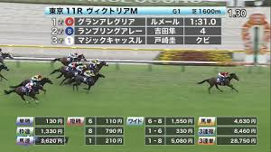 海釣り｜ソルトフィッシング 2021アパレル バス釣り o.s.p o.s.p（アパレル）. Ln2jpjuiel2nxm