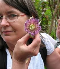 Search Judith Bentley Obituaries and Funeral Services