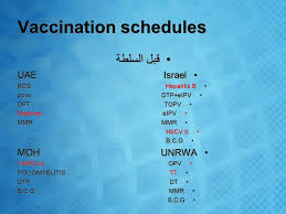 Vaccination In Palestine By Mohammad Baara Ahmed Sawalha