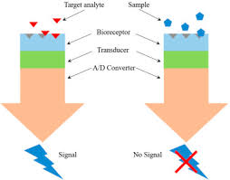 But calculating of confusion matrix for object detection and instance segmentation tasks is less intuitive. Biological Recognition Element An Overview Sciencedirect Topics