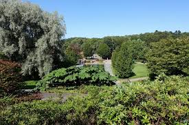 Eines der besten beispiele in schweden ist der botanische garten in göteborg. Eghn Botanischer Garten Goteborg