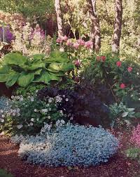 Shade Lovers Geraniums Rhododendrons Hostas Heuchera And Dusty Miller Look Great Together Country Living Magazine Apri Heuchera Plants Garden Plants