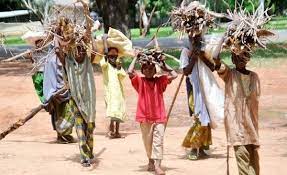 Introduction the print and electronic media is aghast with news on the engagement of children in labour and or work. Frieslandcampina Releases Report On Child Labour In Nigeria But Fails To Answer Key Questions Humans Businesshumans Business