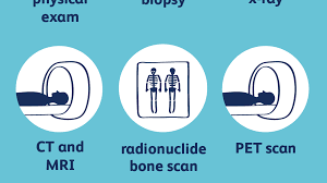 This new column begins with a series of two articles that describe strategies for cancer pain management in dogs and cats, with an overall goal of raising awareness. How Bone Cancer Is Diagnosed