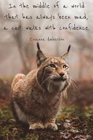 However, following the earlier pattern, the narrator soon cannot resist feelings of hatred for the cat. Quotes About Cat Friendship