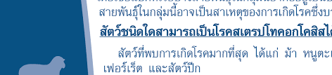 ฟลูโคนาโซล (fluconazole) ใช้เพื่อป้องกันและรักษาการติดเชื้อราและยีสต์ต่างๆ อยู่ในกลุ่มของยาต้านเชื้อรากลุ่มเอโซล ช่วยหยุดการเจริญเติบโตของเชื้อ. Http Niah Dld Go Th Th Files Manual Zoonosis Basic Pdf