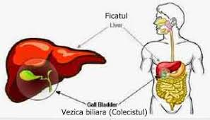 Litiaza biliara este o afectiune care se caracterizeaza prin calculi si anume pietre in interiorul vezicii biliare, pietre la fiere, dar si a cailor biliare. AceastÄ BÄuturÄ Te AjutÄ SÄ Elimini Pietrele Din Vezica BiliarÄ Secretele Com