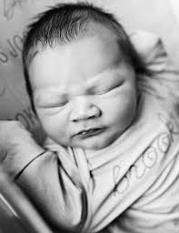 Obituary information for Brooks Joseph Pavek