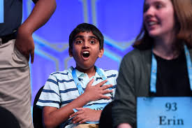 Image result for Sorindeia winkleri