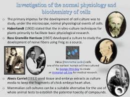 Check spelling or type a new query. The Awesome Science Of Animal Cell Culture