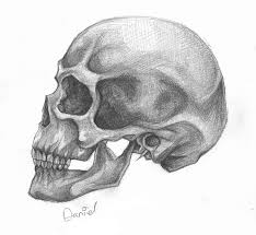 Skull Profile By Wannasleep On Deviantart On our website you will find everything for a beautiful steam profile design! skull profile by wannasleep on deviantart