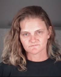 Domestic Violence is never acceptable and will not be tolerated, in any  capacity. The following individuals were arrested