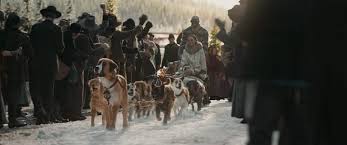 A sled dog struggles for survival in the alaskan wild. Call Of The Wild Harrison Ford S Dog Buck Isn T A Husky Here S Why