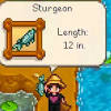 They can be obtained by fishing using a fishing rod as well as using baited crab pots. 1