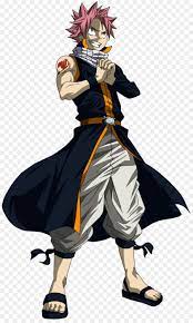Natsu Dragneel Fairy Tail Anime Natsu Dragneel Fairy Tail Characters