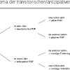 Die 4 formen des hirnschlags. 1