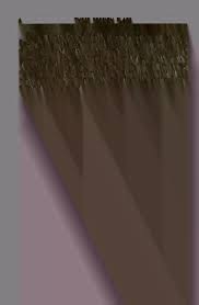 A history of Belleville