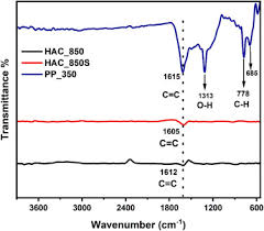 Image result for Terminalia boivinii
