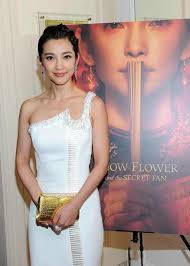 Roast Pork Sliced From A Rusty Cleaver: Snow Flower and The Secret Fan