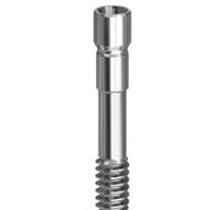 Tornillos para aditamentos dentales | DESS® Dental | Page 2
