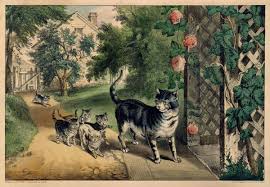 The story is about a group of cats, known as the jellicle tribe, who live in a junkyard and gather for an annual jellicle ball. The Metropolitan Museum Of Art On Twitter Did You Know A Group Of Cats Is Called A Clowder See Our Pinterest Board Featuring Cats Http T Co 3qlky9r1sl Http T Co 6yvlbczveu