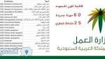 الوظائف المسعودة حسب مكتب العمل