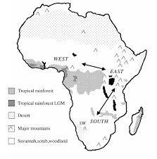 They grow in areas of high rainfall in west, central and east africa. The Structure Of Biodiversity Insights From Molecular Phylogeography Frontiers In Zoology Full Text