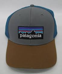Patagonia Mens P 6 Trucker Snapback Cap Hat 38017 Feather Grey Bear Brown Patagonia Mens Caps Hats Hat Designs