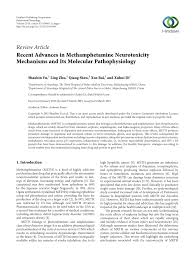 Sam gor previously produced meth in southern china and is now believed to manufacture mainly in the golden triangle, specifically shan state, myanmar, responsible for much of the massive surge of. Pdf Recent Advances In Methamphetamine Neurotoxicity Mechanisms And Its Molecular Pathophysiology