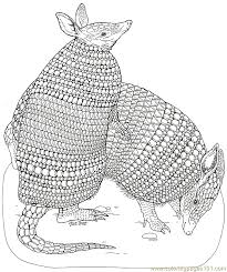 Your kids will increase their vocabulary by learning about different anima. On Noahs Ark Coloring Mural Armadillos Coloring Page For Kids Free Armadillo Printable Coloring Pages Online For Kids Coloringpages101 Com Coloring Pages For Kids