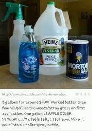 Weed Killer Diy Crafts Weed Killer Homemade Weed Killer Gardening Tips