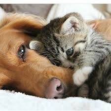 Pin Em Cute