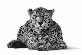 There is a zipper on the back of the head. Realistic Face Realistic Cheetah Drawing Novocom Top