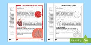 Download file pdf gizmo student exploration digestive system answer key. Fourth Grade The Circulatory System Reading Comprehension Activity