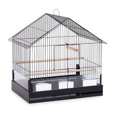 Bird Cage Seed Guard Petsmart Prevue Pet Products Cockatiel Small Parrot Cage Black Hanging Bird Cage Bird Cage Small Bird Cage