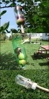 Decoration Design Ideas To Modify Your House Paletten Garten Bepflanzung Garten