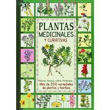 Para ello, debe realizar un largo viaje al cual decide invitar a emeline, una chica francesa con la que mantiene una relación intermitente y borrascosa. Libro Plantas Medicinales Y Curativas Autor None